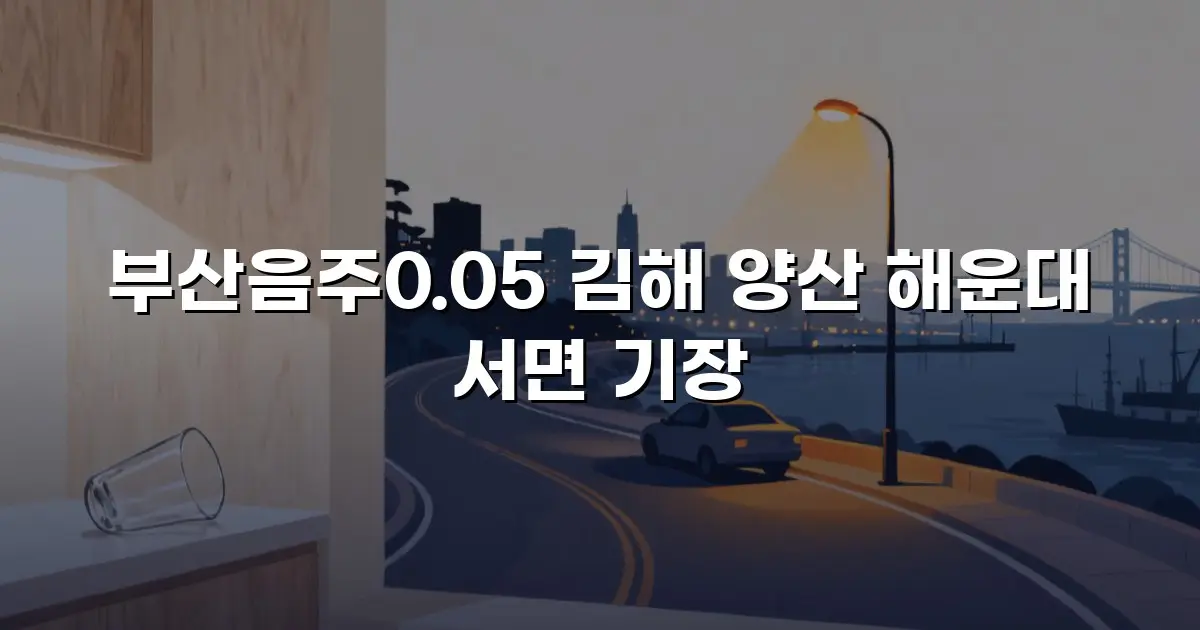 부산음주0.05 김해 양산 해운대 서면 기장