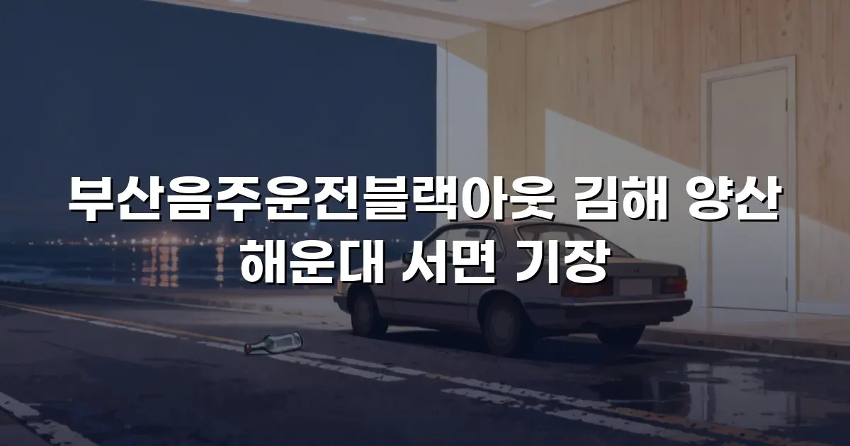 부산음주운전블랙아웃 김해 양산 해운대 서면 기장