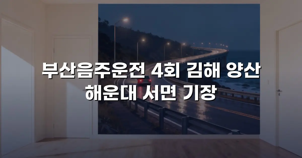 부산음주운전 4회 김해 양산 해운대 서면 기장