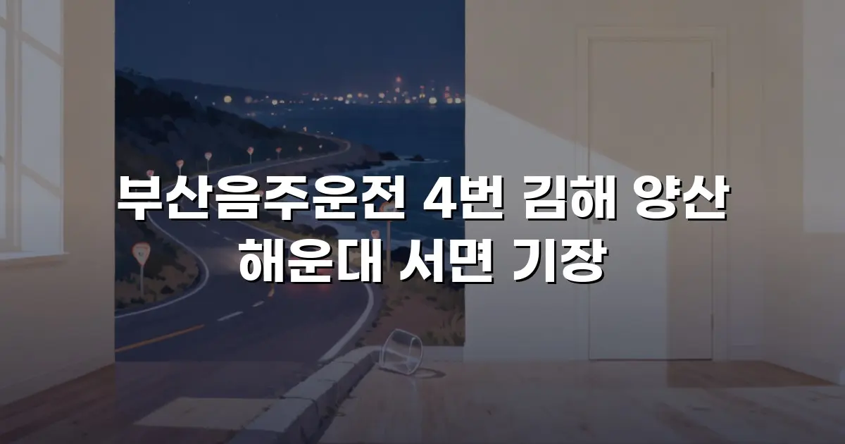 부산음주운전 4번 김해 양산 해운대 서면 기장