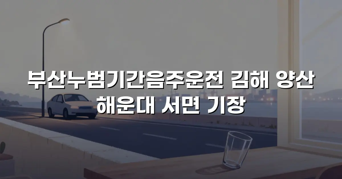 부산누범기간음주운전 김해 양산 해운대 서면 기장