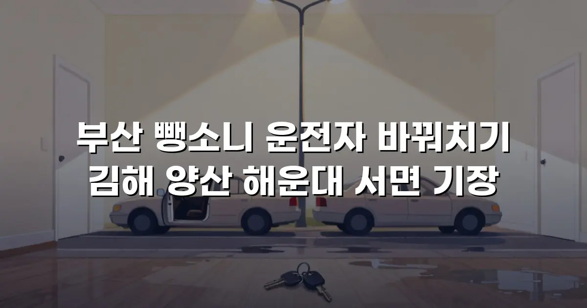 부산 뺑소니 운전자 바꿔치기 김해 양산 해운대 서면 기장