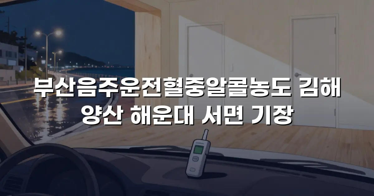 부산음주운전혈중알콜농도 김해 양산 해운대 서면 기장