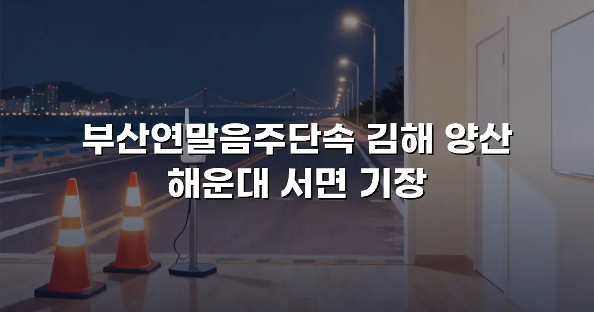 부산연말음주단속 김해 양산 해운대 서면 기장