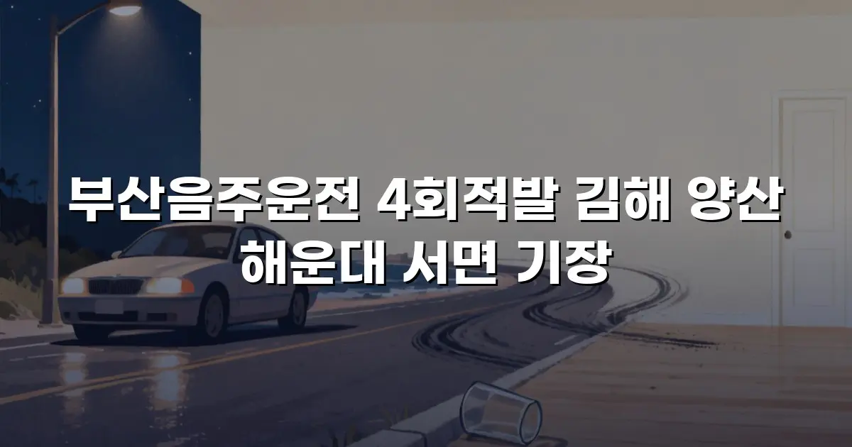 부산음주운전 4회적발 김해 양산 해운대 서면 기장