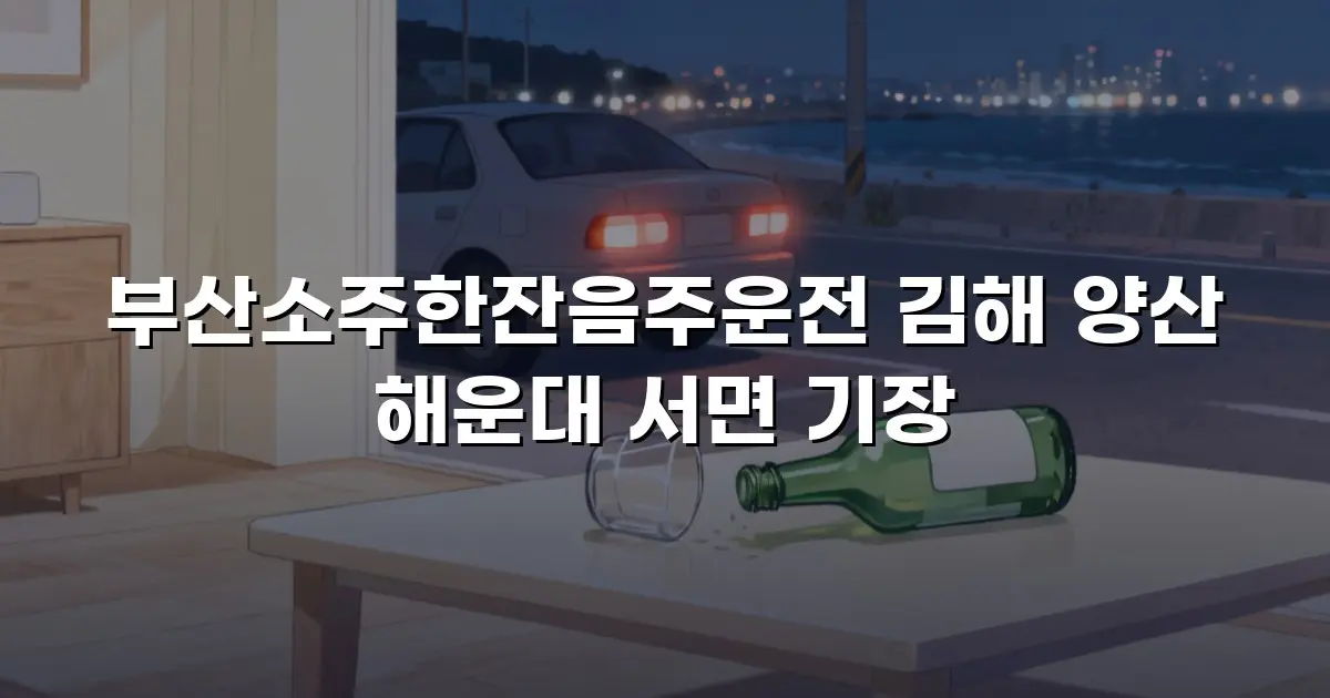 부산소주한잔음주운전 김해 양산 해운대 서면 기장