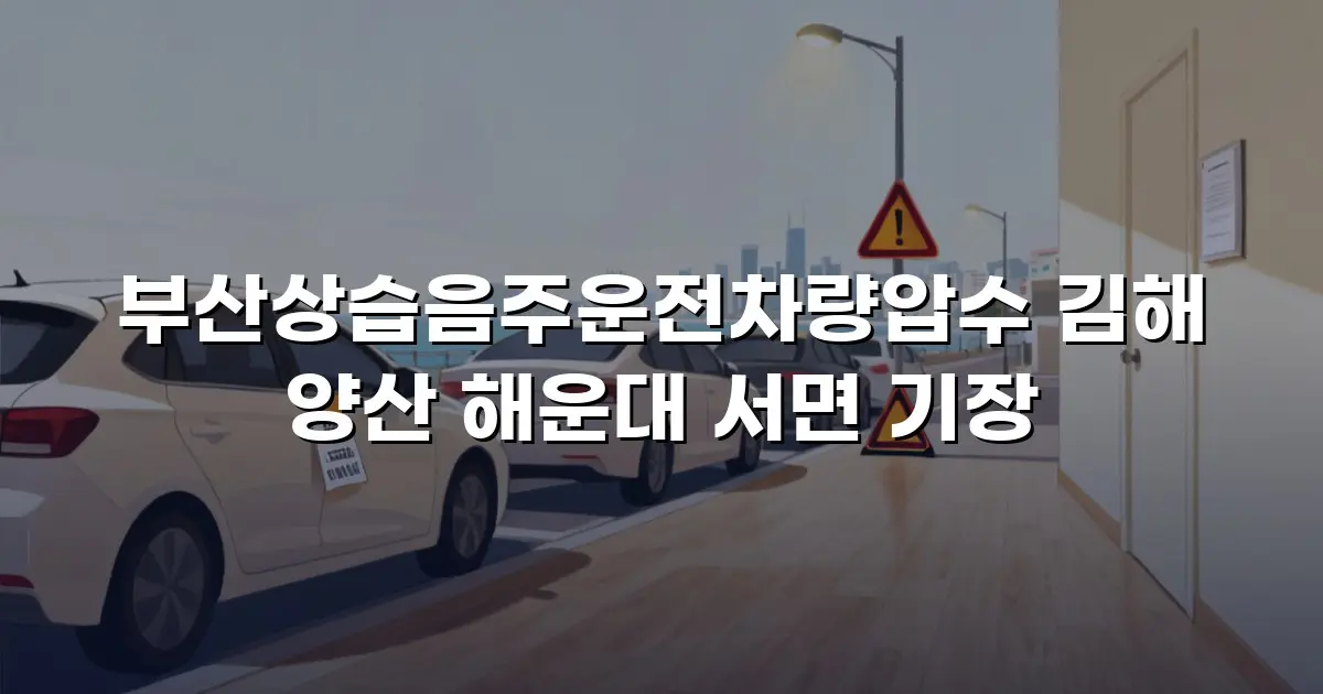 부산상습음주운전차량압수 김해 양산 해운대 서면 기장