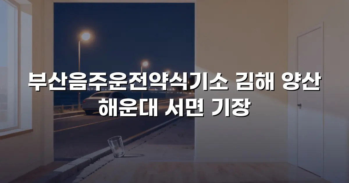 부산음주운전약식기소 김해 양산 해운대 서면 기장