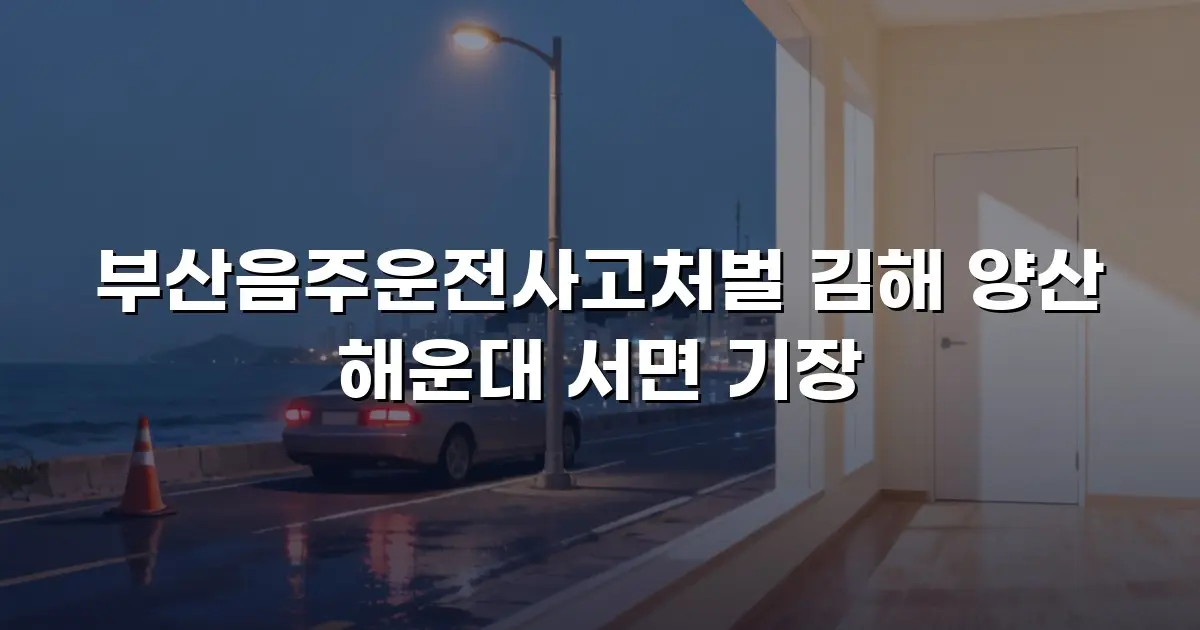 부산음주운전사고처벌 김해 양산 해운대 서면 기장