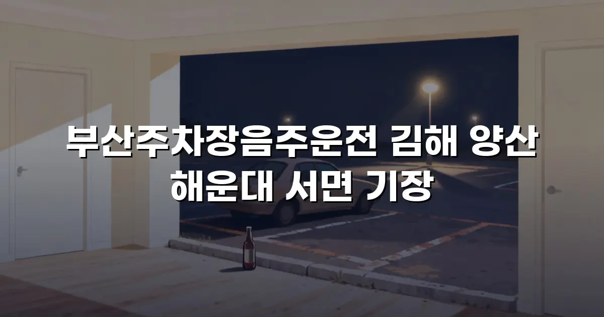 부산주차장음주운전 김해 양산 해운대 서면 기장