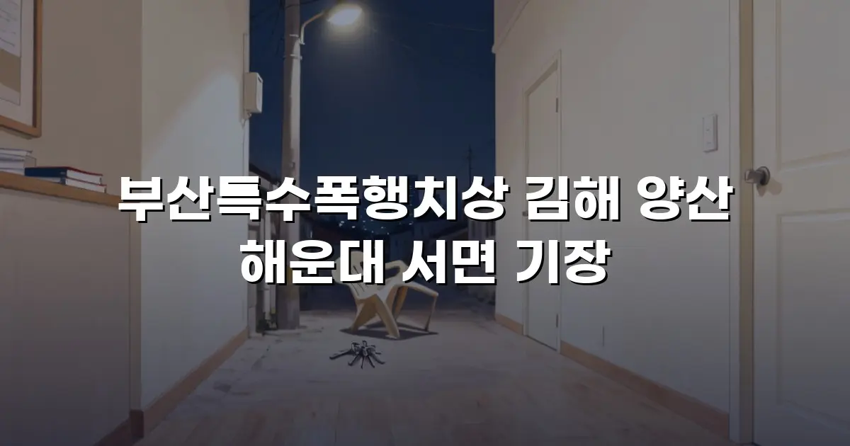 부산특수폭행치상 김해 양산 해운대 서면 기장