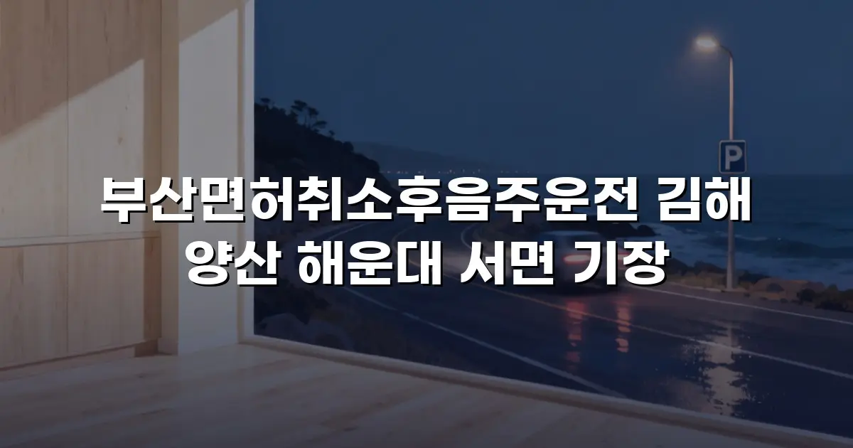 부산면허취소후음주운전 김해 양산 해운대 서면 기장