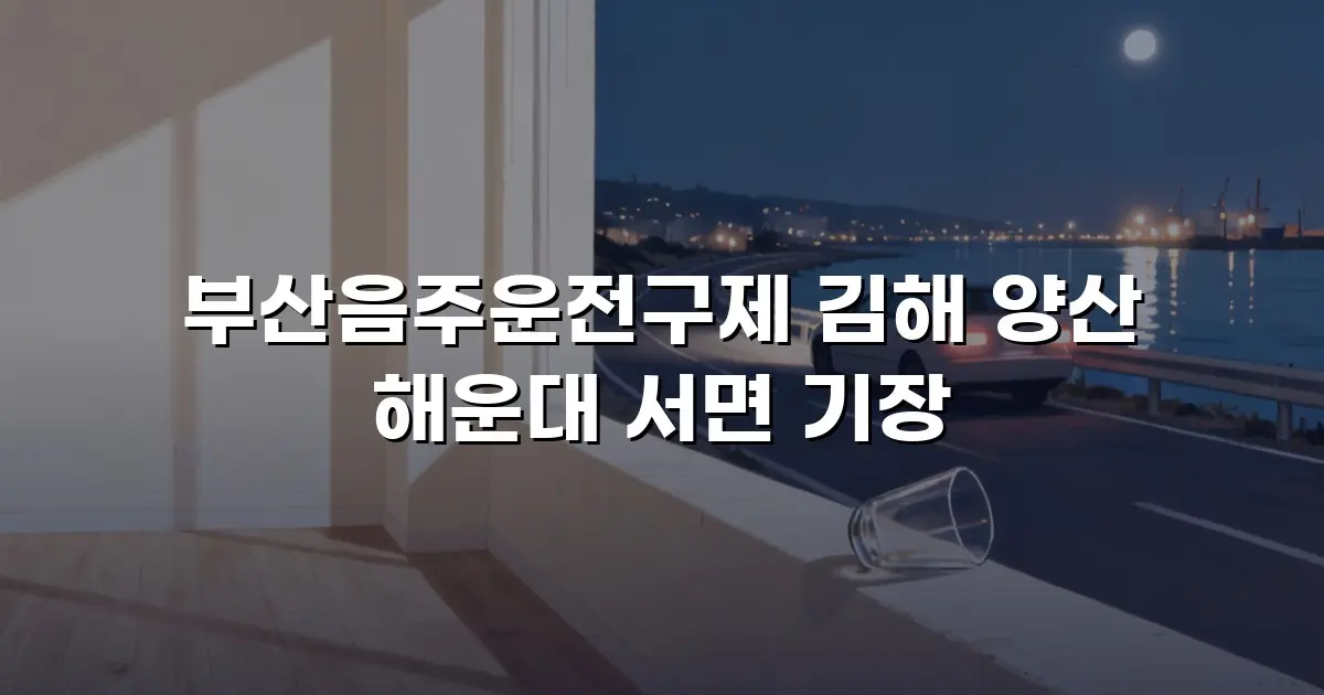 부산음주운전구제 김해 양산 해운대 서면 기장