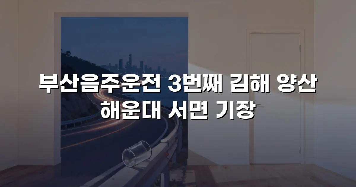 부산음주운전 3번째 김해 양산 해운대 서면 기장