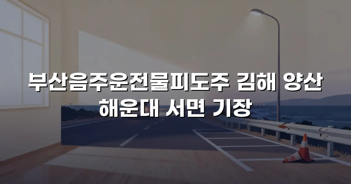 부산음주운전물피도주 김해 양산 해운대 서면 기장