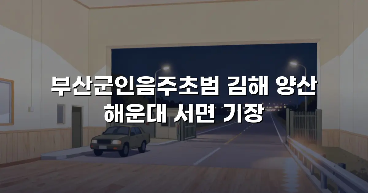 부산군인음주초범 김해 양산 해운대 서면 기장