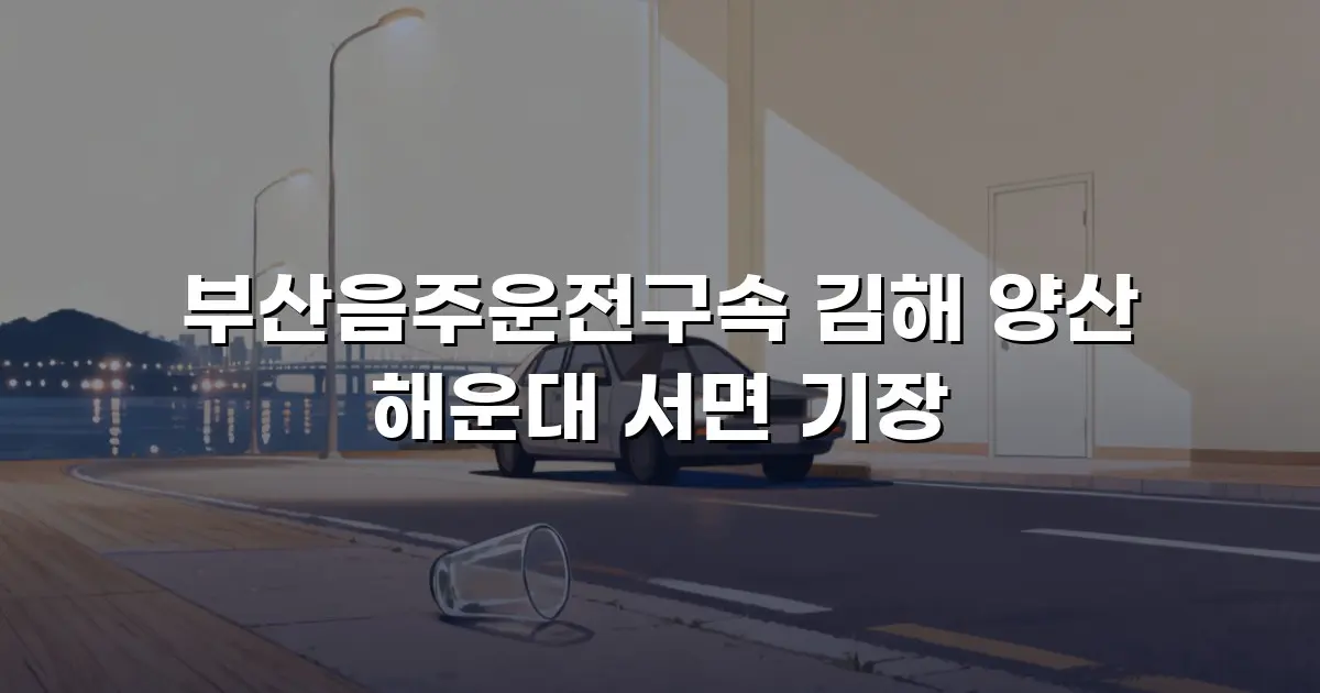 부산음주운전구속 김해 양산 해운대 서면 기장