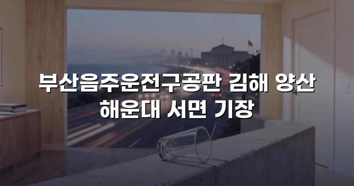 부산음주운전구공판 김해 양산 해운대 서면 기장