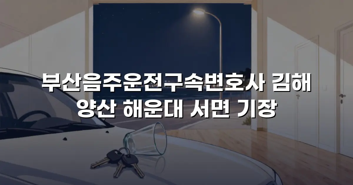 부산음주운전구속변호사 김해 양산 해운대 서면 기장