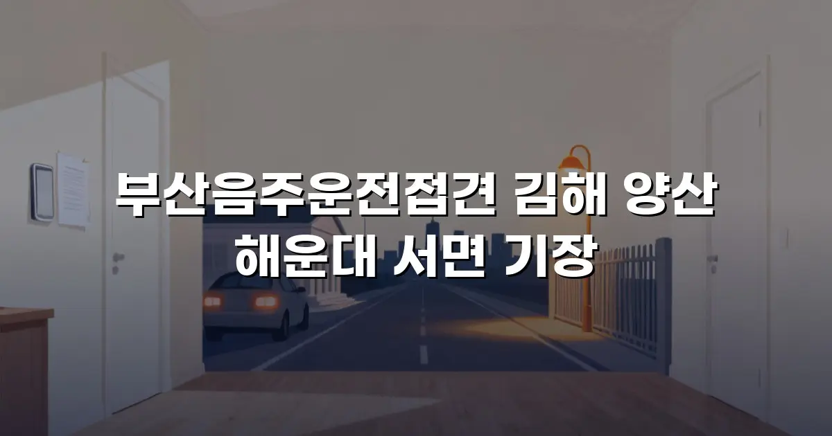 부산음주운전접견 김해 양산 해운대 서면 기장