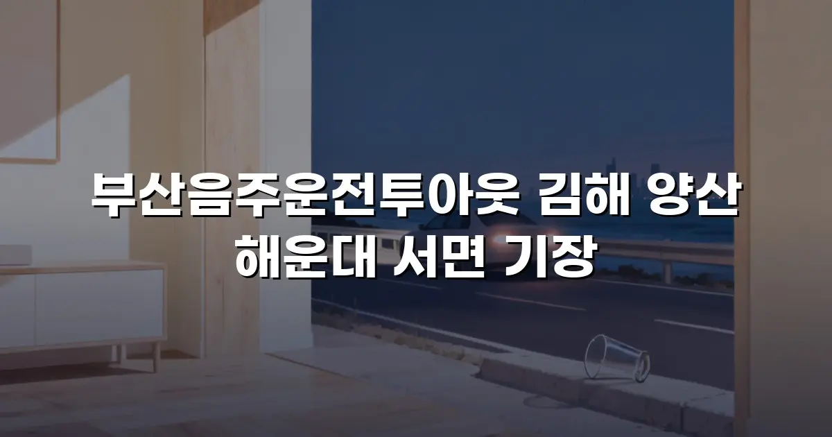 부산음주운전투아웃 김해 양산 해운대 서면 기장