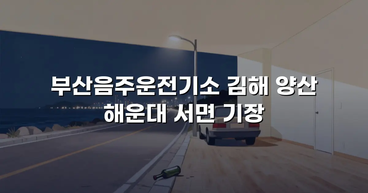 부산음주운전기소 김해 양산 해운대 서면 기장