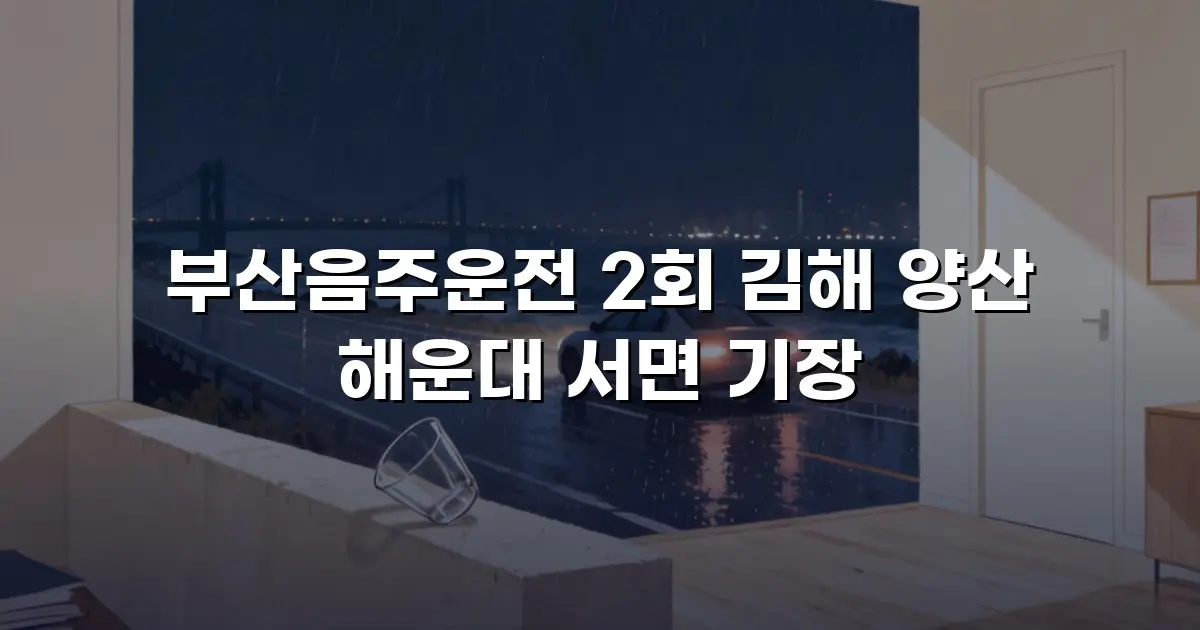 부산음주운전 2회 김해 양산 해운대 서면 기장