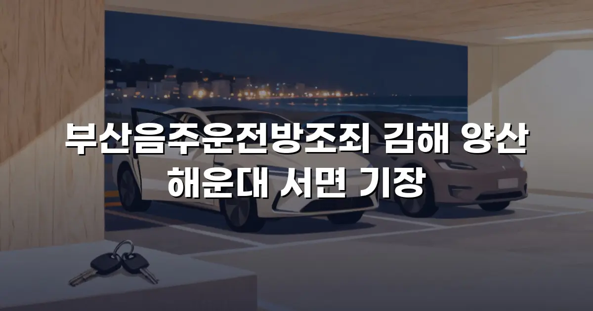 부산음주운전방조죄 김해 양산 해운대 서면 기장