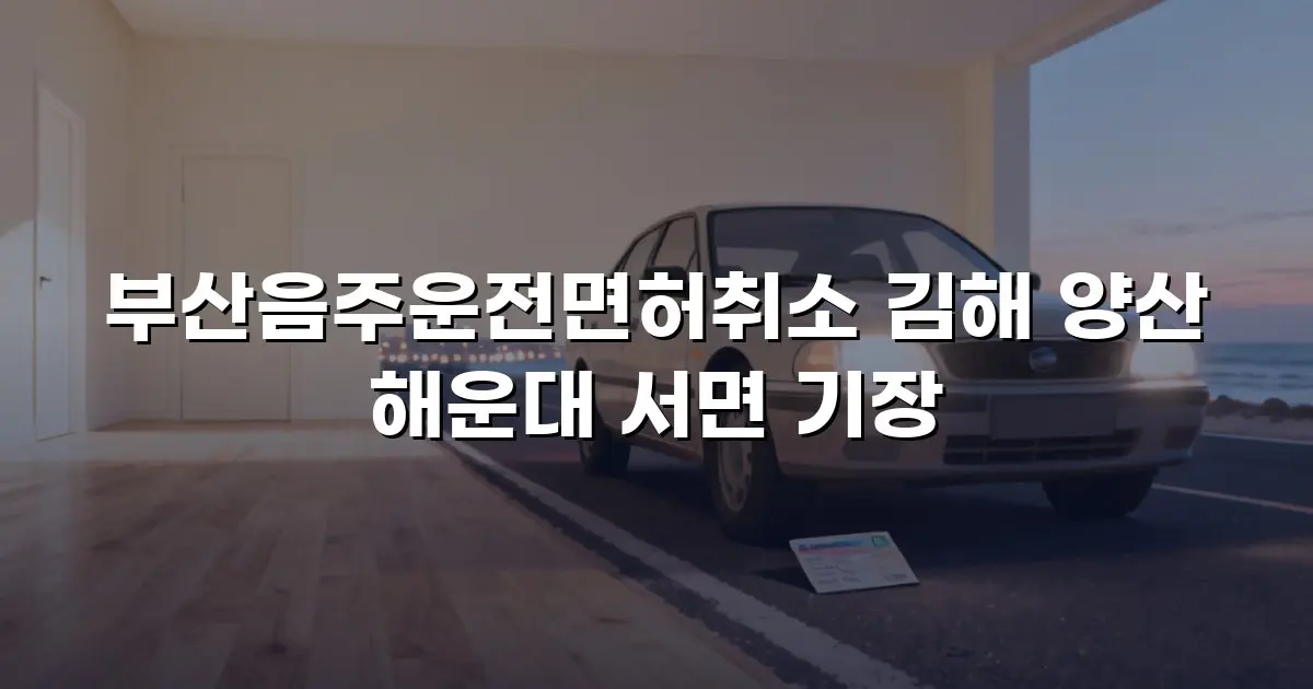 부산음주운전면허취소 김해 양산 해운대 서면 기장