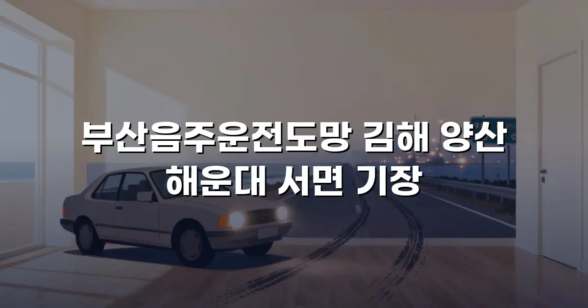 부산음주운전도망 김해 양산 해운대 서면 기장