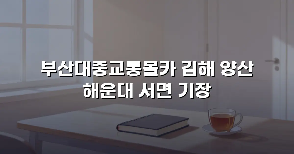 부산대중교통몰카 김해 양산 해운대 서면 기장