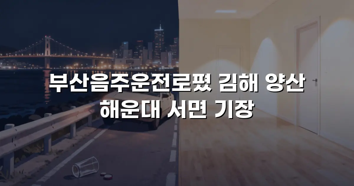 부산음주운전로폈 김해 양산 해운대 서면 기장