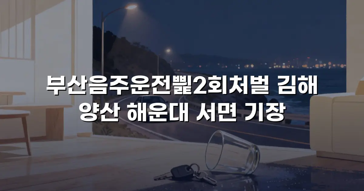 부산음주운전삁2회처벌 김해 양산 해운대 서면 기장
