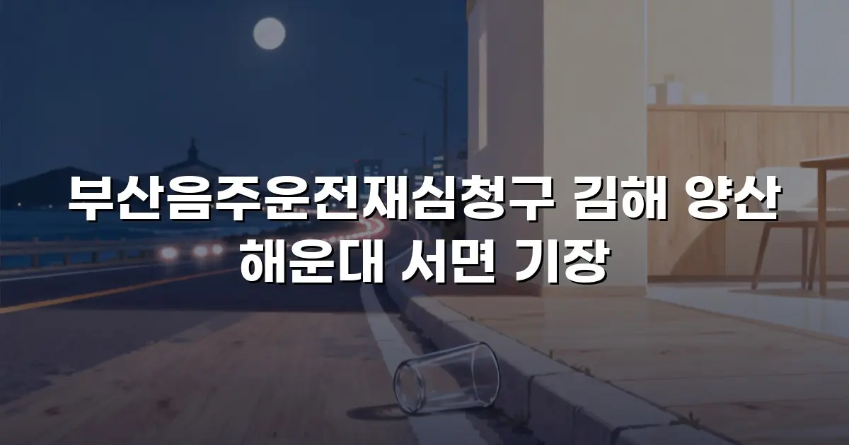 부산음주운전재심청구 김해 양산 해운대 서면 기장