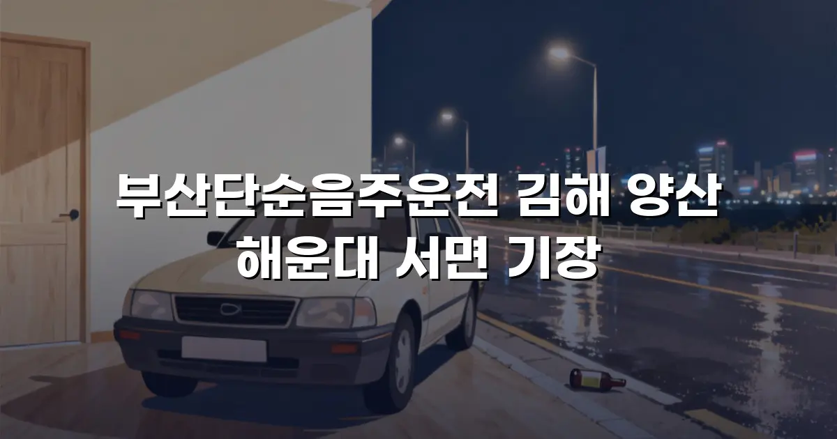 부산단순음주운전 김해 양산 해운대 서면 기장