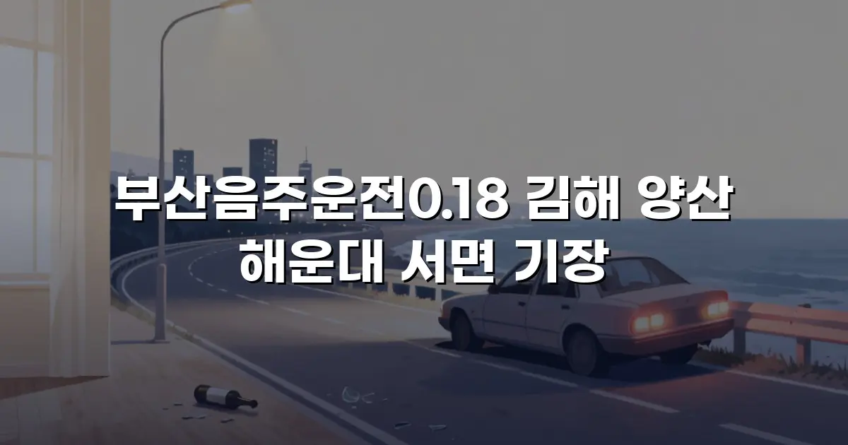 부산음주운전0.18 김해 양산 해운대 서면 기장