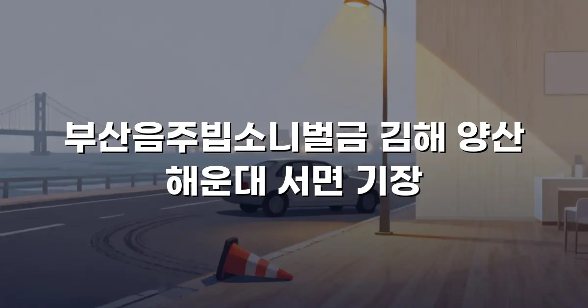 부산음주빕소니벌금 김해 양산 해운대 서면 기장