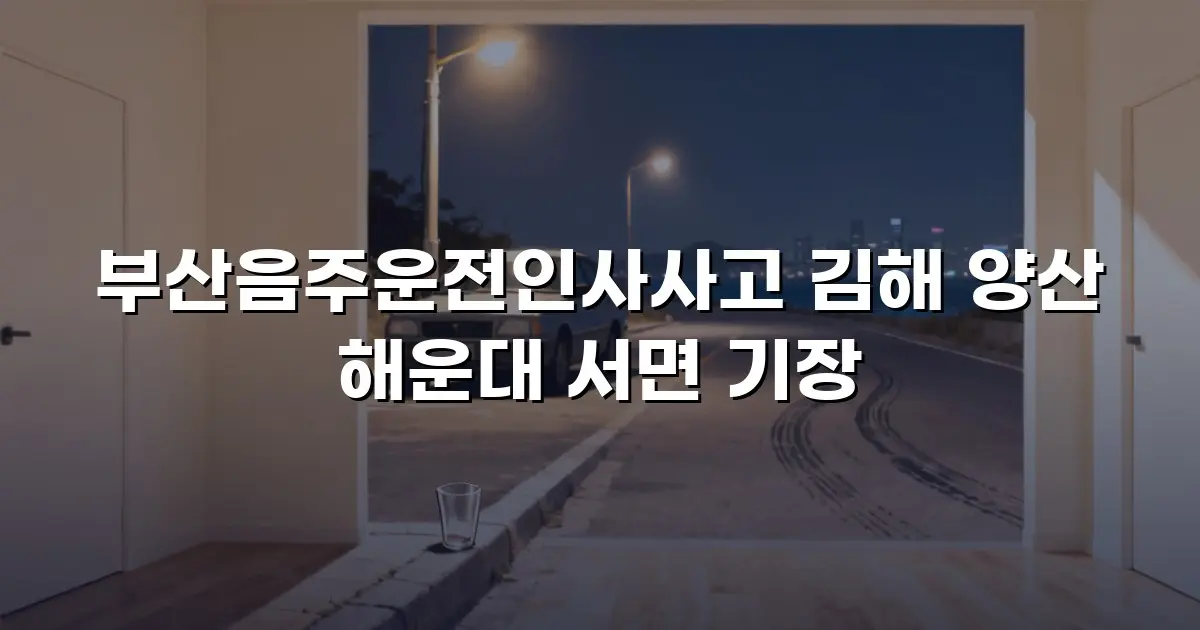부산음주운전인사사고 김해 양산 해운대 서면 기장