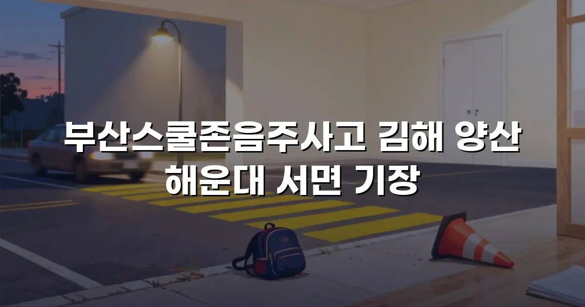 부산스쿨존음주사고 김해 양산 해운대 서면 기장