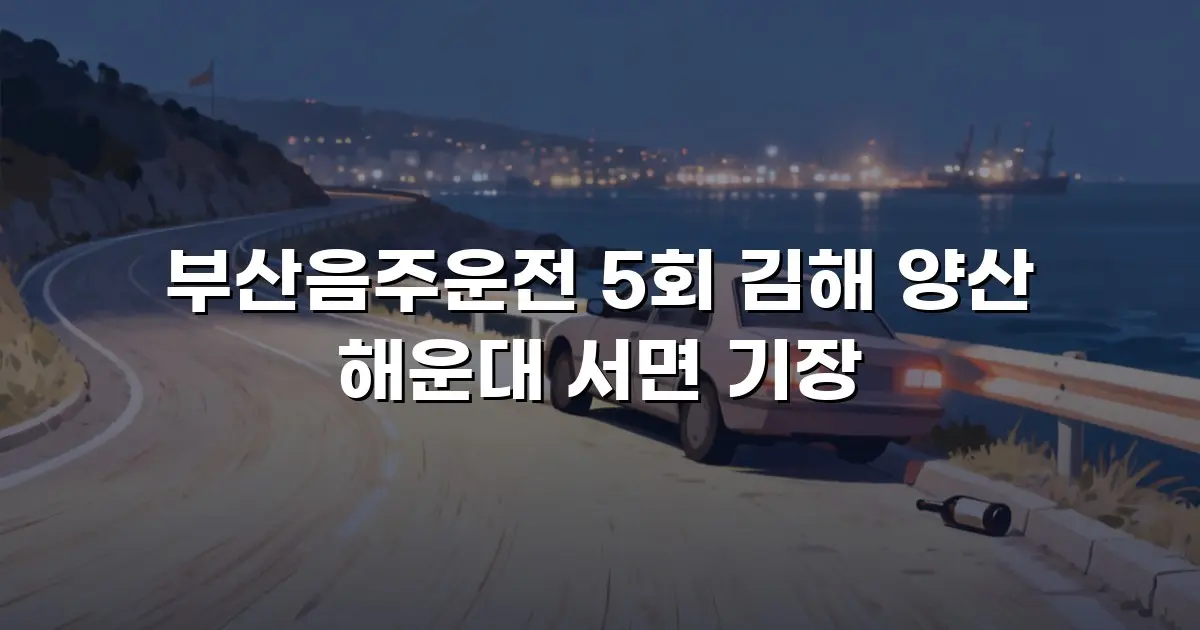부산음주운전 5회 김해 양산 해운대 서면 기장