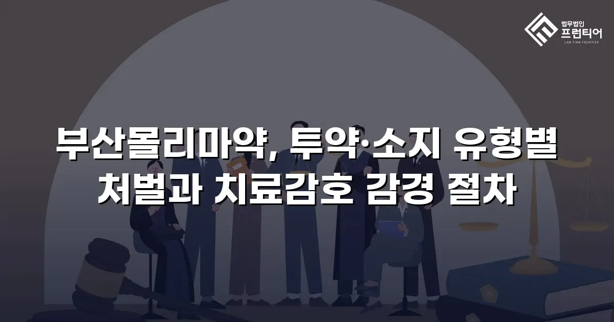 부산몰리마약, 투약·소지 유형별 처벌과 치료감호 감경 절차