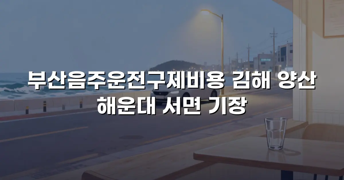 부산음주운전구제비용 김해 양산 해운대 서면 기장