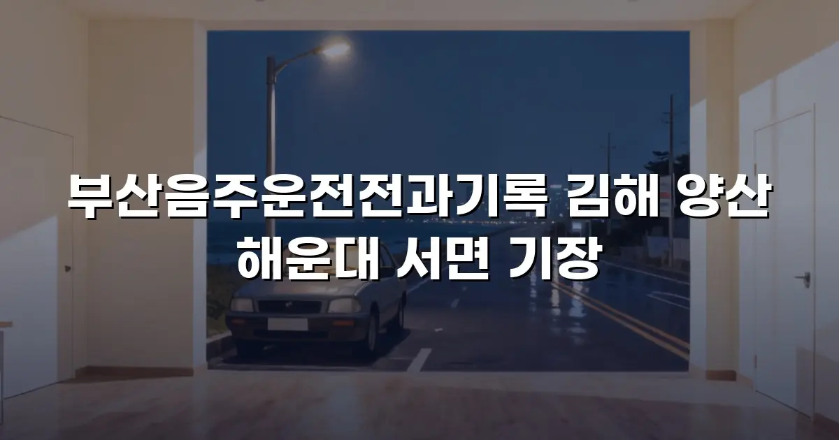 부산음주운전전과기록 김해 양산 해운대 서면 기장