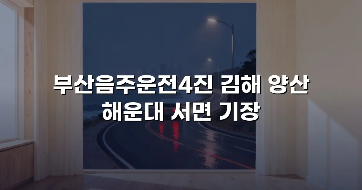 부산음주운전4진 김해 양산 해운대 서면 기장