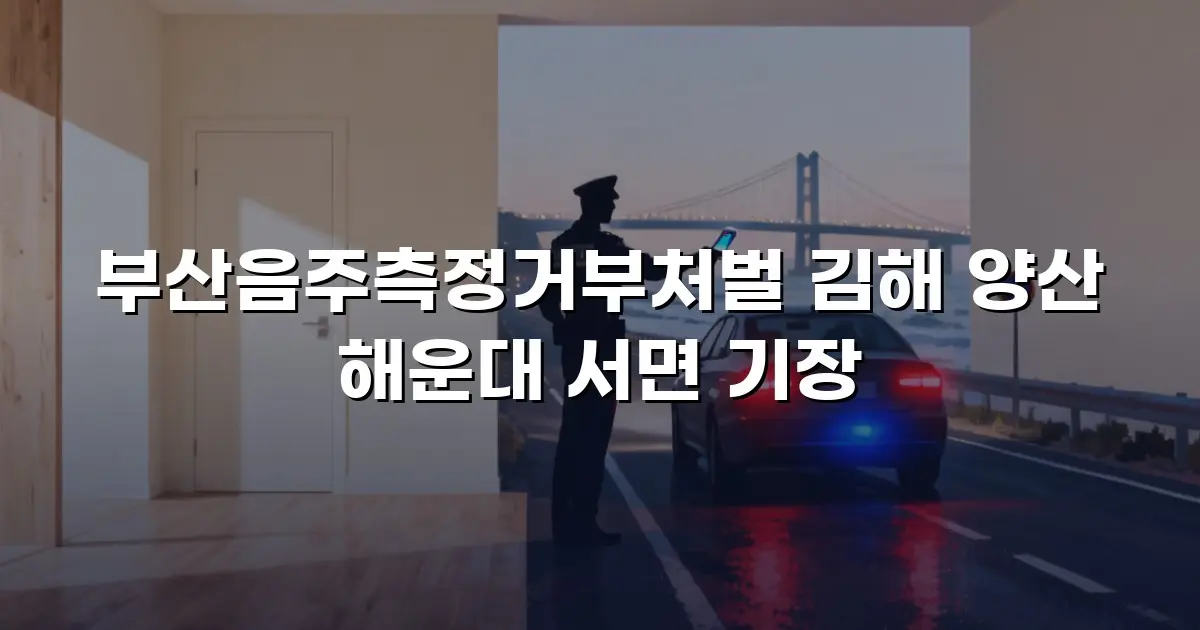 부산음주측정거부처벌 김해 양산 해운대 서면 기장