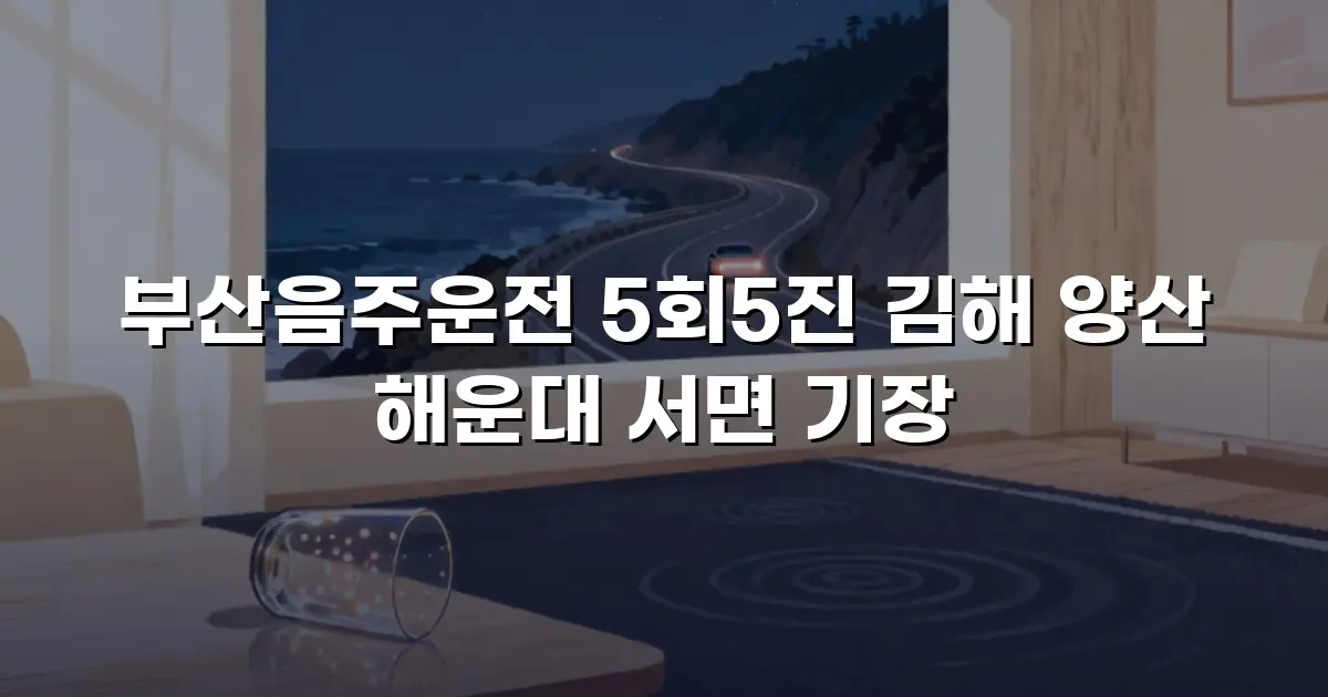 부산음주운전 5회5진 김해 양산 해운대 서면 기장