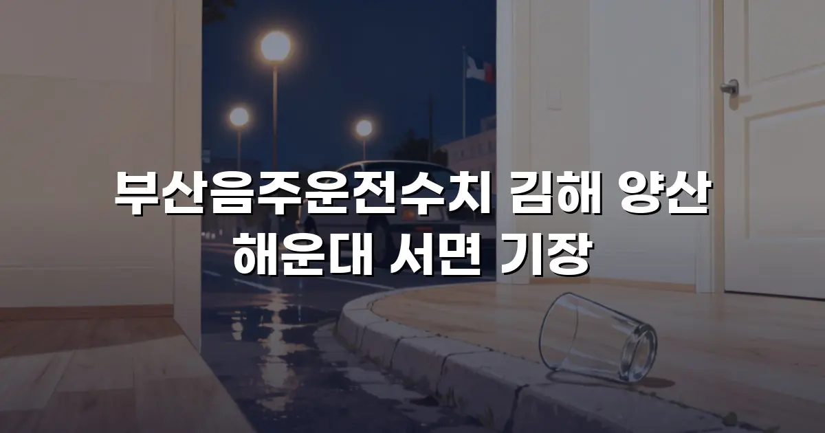 부산음주운전수치 김해 양산 해운대 서면 기장