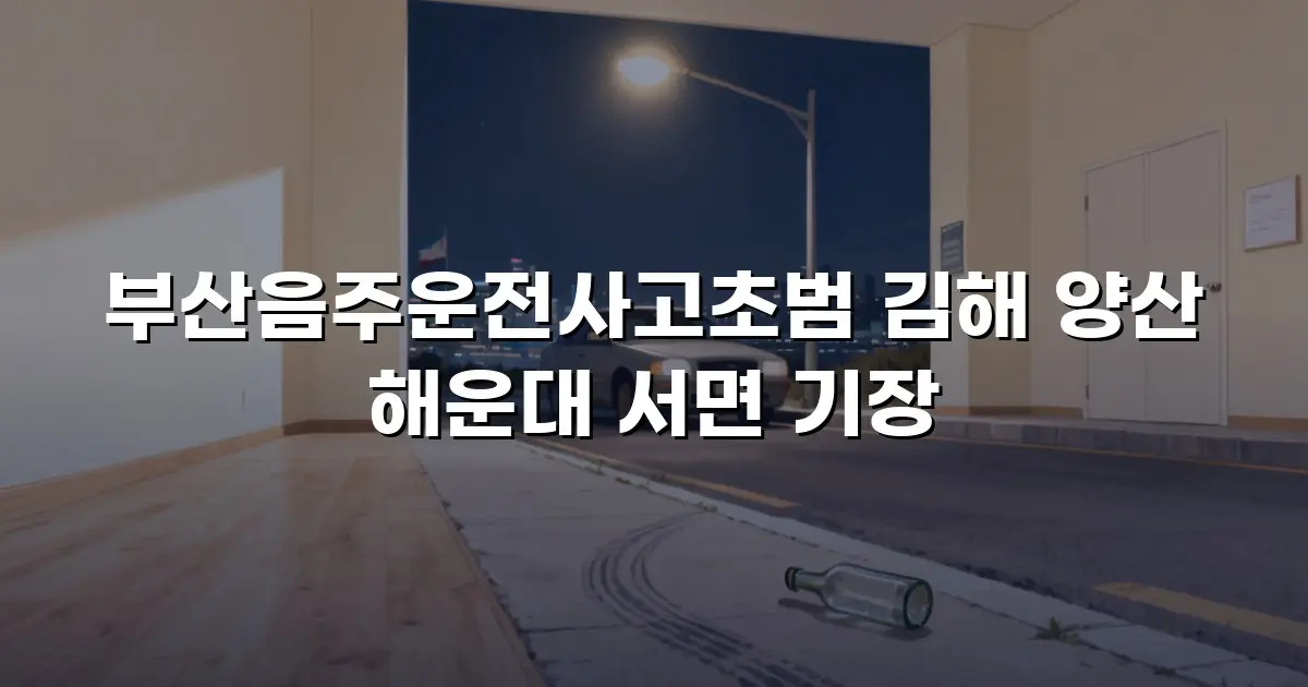 부산음주운전사고초범 김해 양산 해운대 서면 기장