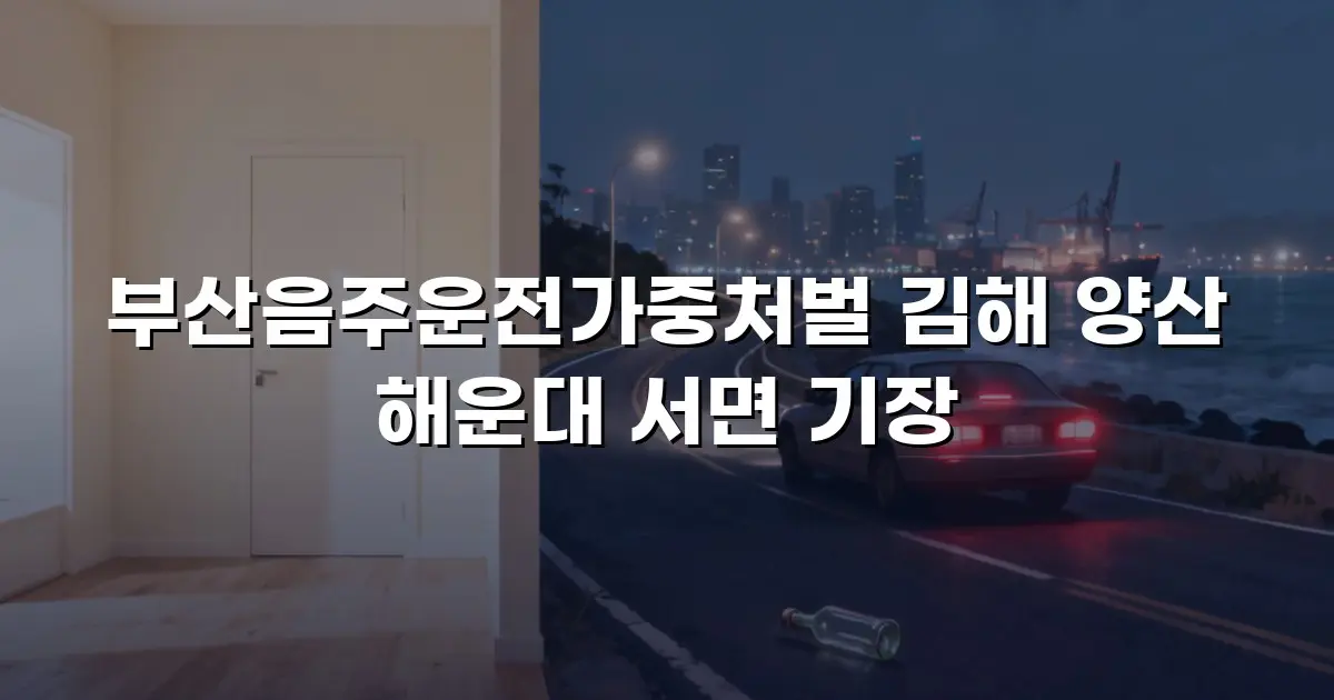 부산음주운전가중처벌 김해 양산 해운대 서면 기장