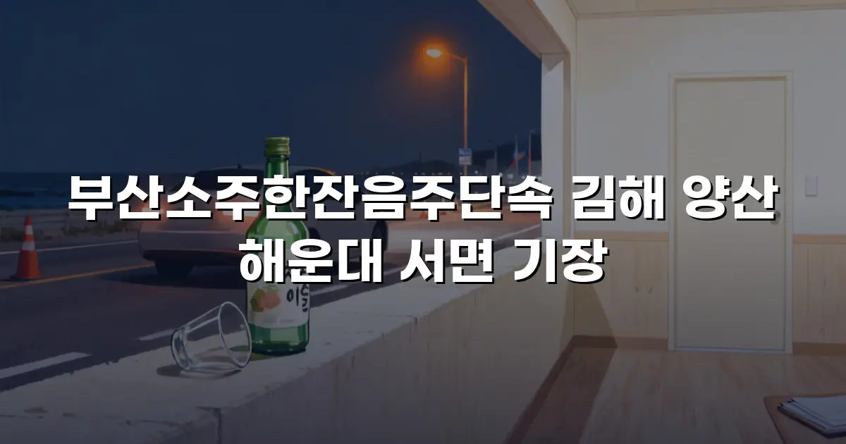 부산소주한잔음주단속 김해 양산 해운대 서면 기장